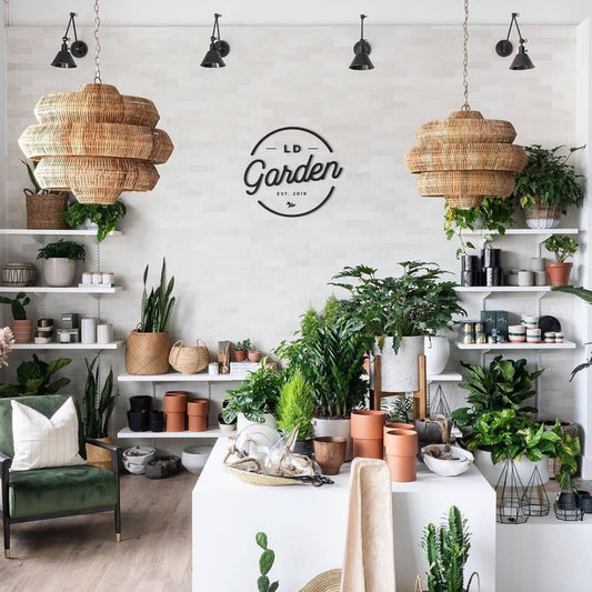 Antibes handwoven rattan boho light fixture