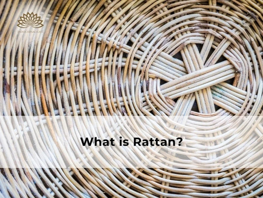 What is Rattan: Solid climbing palm stem compared to cane, wicker, and bamboo