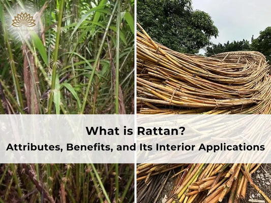 Definition, Features, Benefits and Applications of Natural Rattan