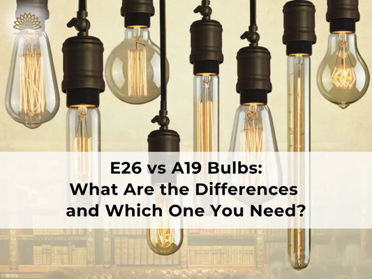 E26 Base with A19 Bulbs