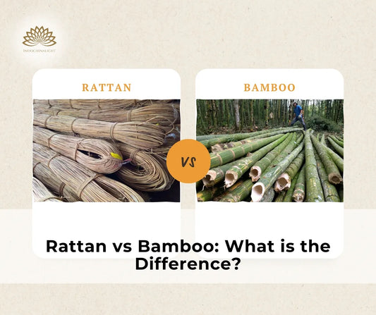 rattan vs bamboo