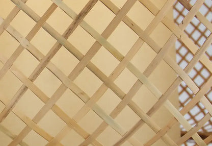 Enakshi Abstract Bamboo Pendant Light