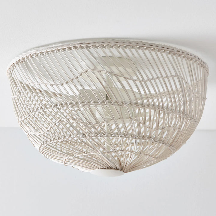 Pottery Barn Dome Rattan Light Fixture