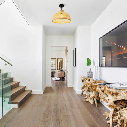Singkawang Natural Dome Pendant Light hangs over Hallway